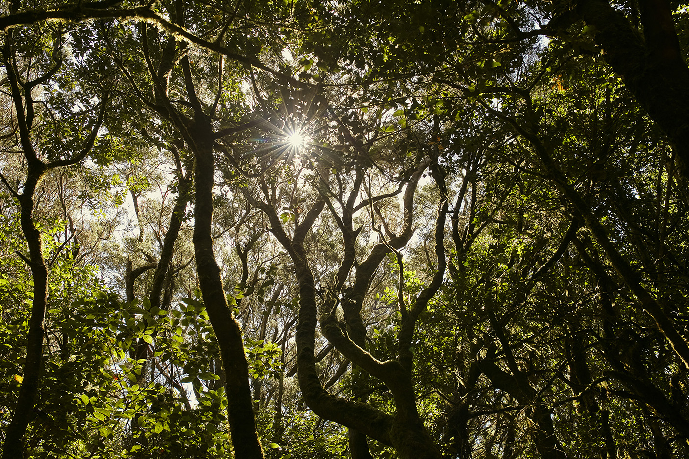 La Gomera