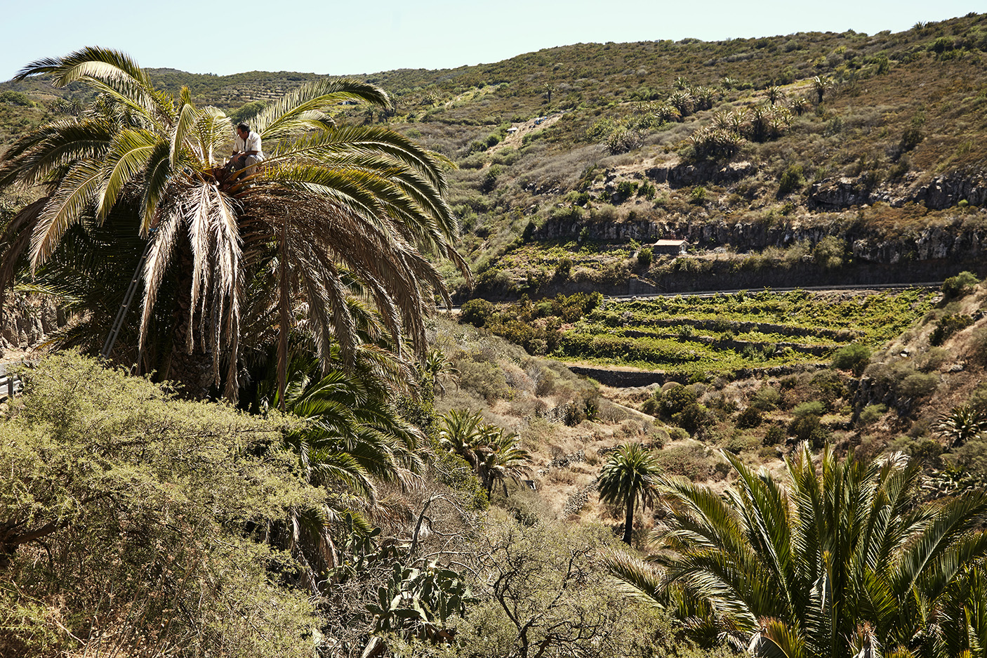 La Gomera