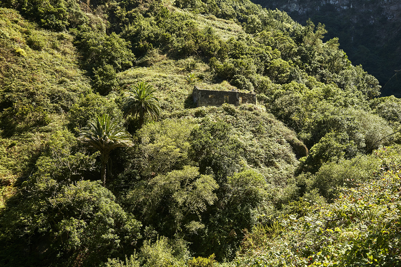La Gomera