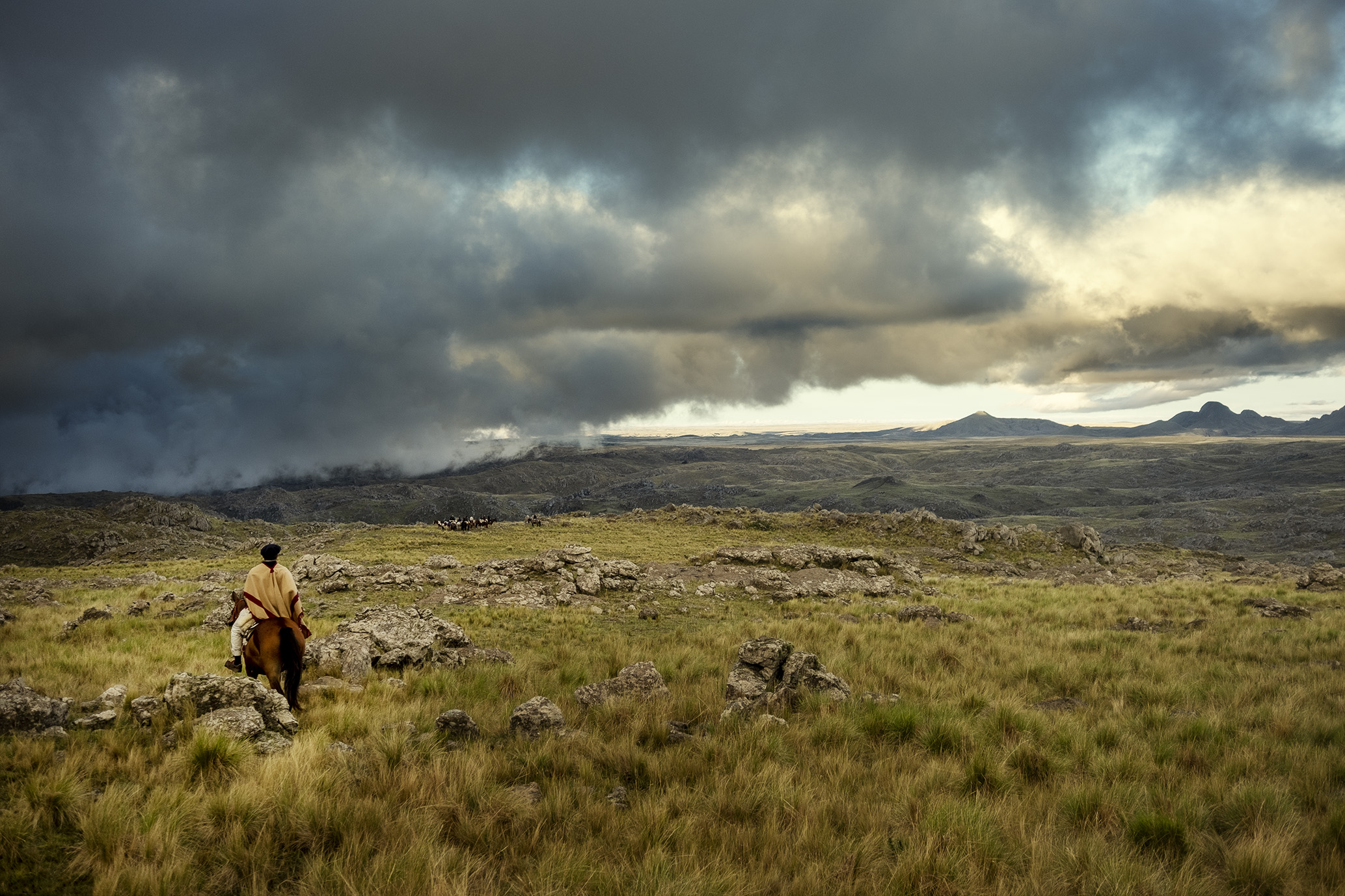 gaucho argentinia